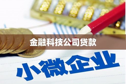 班玛金融科技公司贷款