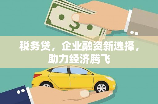 班玛税务贷，企业融资新选择，助力经济腾飞