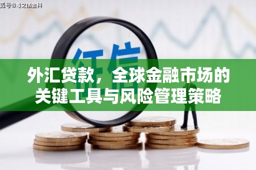 班玛外汇贷款，全球金融市场的关键工具与风险管理策略