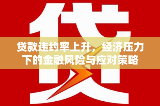 班玛贷款违约率上升，经济压力下的金融风险与应对策略