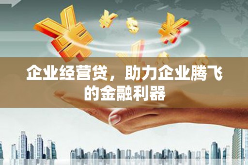班玛企业经营贷，助力企业腾飞的金融利器