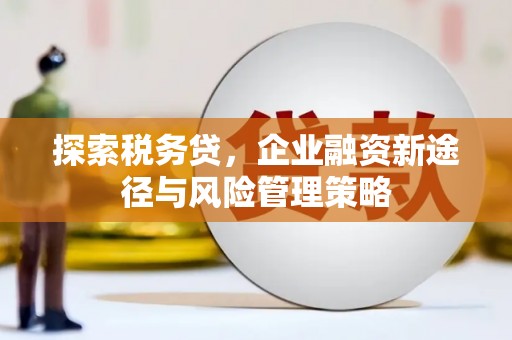班玛探索税务贷，企业融资新途径与风险管理策略