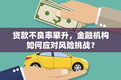 班玛贷款不良率攀升，金融机构如何应对风险挑战？