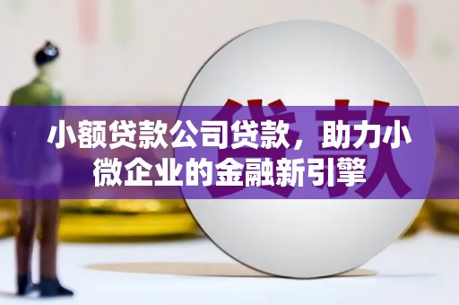 班玛小额贷款公司贷款，助力小微企业的金融新引擎