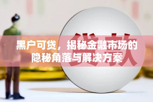 班玛黑户可贷，揭秘金融市场的隐秘角落与解决方案