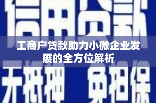 班玛工商户贷款助力小微企业发展的全方位解析