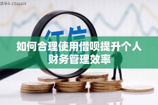 班玛如何合理使用借呗提升个人财务管理效率
