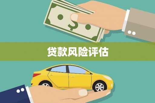 班玛贷款风险评估