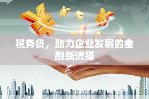 班玛税务贷，助力企业发展的金融新选择