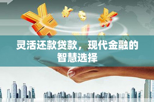 班玛灵活还款贷款，现代金融的智慧选择