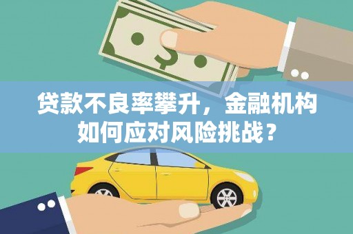 班玛贷款不良率攀升，金融机构如何应对风险挑战？