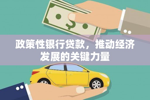 班玛政策性银行贷款，推动经济发展的关键力量