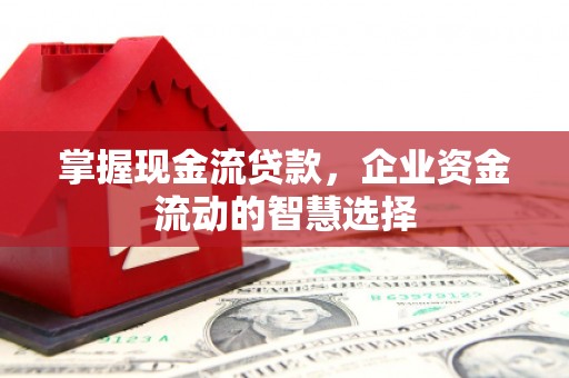 班玛掌握现金流贷款，企业资金流动的智慧选择