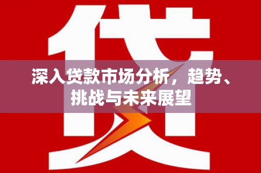 班玛深入贷款市场分析，趋势、挑战与未来展望