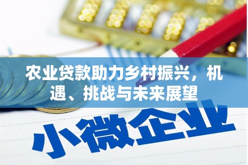 班玛农业贷款助力乡村振兴，机遇、挑战与未来展望