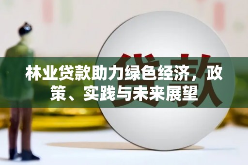 班玛林业贷款助力绿色经济，政策、实践与未来展望