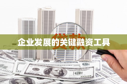 班玛企业发展的关键融资工具