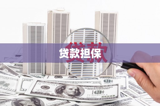 班玛贷款担保