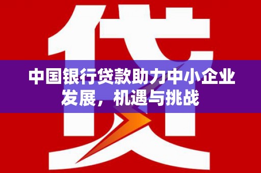 班玛中国银行贷款助力中小企业发展，机遇与挑战