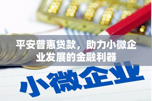 班玛平安普惠贷款，助力小微企业发展的金融利器