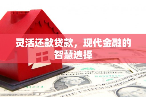班玛灵活还款贷款，现代金融的智慧选择
