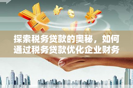 班玛探索税务贷款的奥秘，如何通过税务贷款优化企业财务