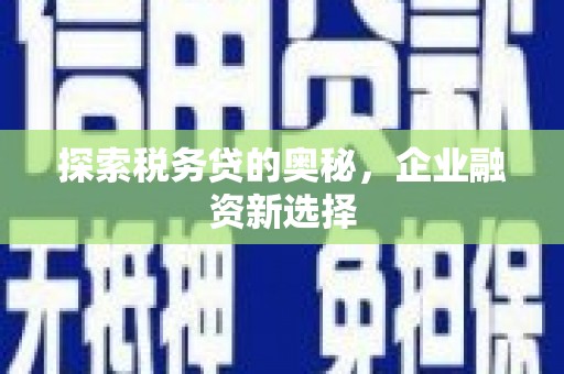 班玛探索税务贷的奥秘，企业融资新选择