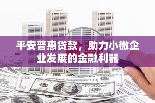 班玛平安普惠贷款，助力小微企业发展的金融利器