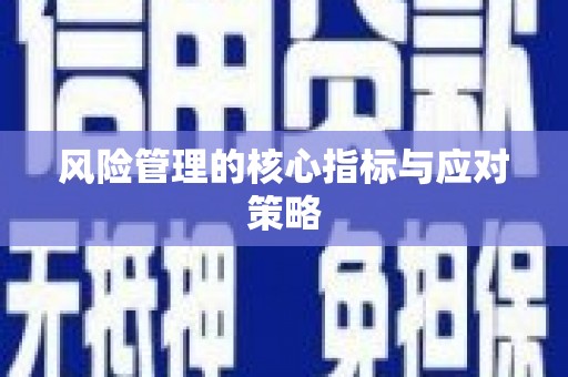 班玛风险管理的核心指标与应对策略