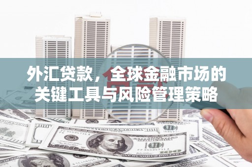 班玛外汇贷款，全球金融市场的关键工具与风险管理策略