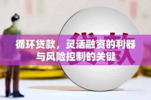 班玛循环贷款，灵活融资的利器与风险控制的关键