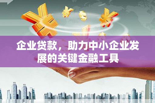 班玛企业贷款，助力中小企业发展的关键金融工具