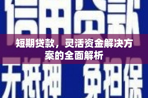 班玛短期贷款，灵活资金解决方案的全面解析