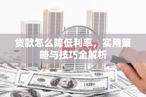 班玛贷款怎么降低利率，实用策略与技巧全解析