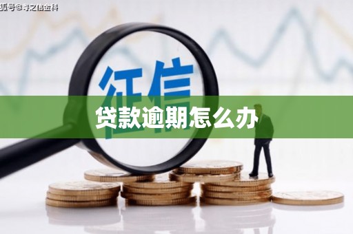班玛贷款逾期怎么办