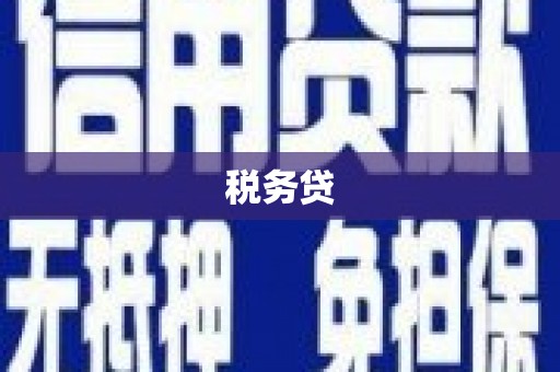 班玛税务贷