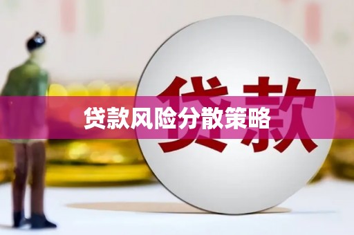 班玛贷款风险分散策略