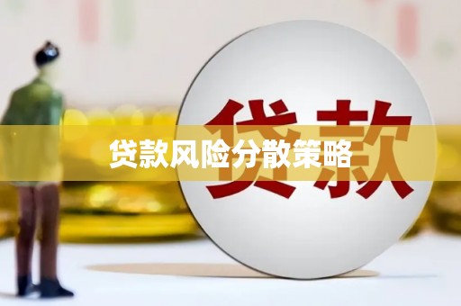 班玛贷款风险分散策略