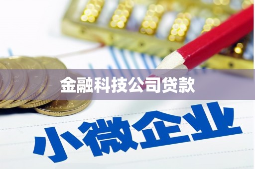 班玛金融科技公司贷款