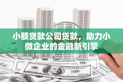班玛小额贷款公司贷款，助力小微企业的金融新引擎