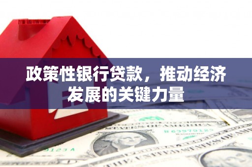班玛政策性银行贷款，推动经济发展的关键力量