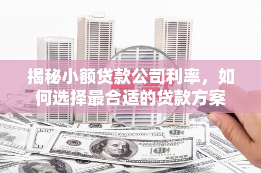 班玛揭秘小额贷款公司利率，如何选择最合适的贷款方案