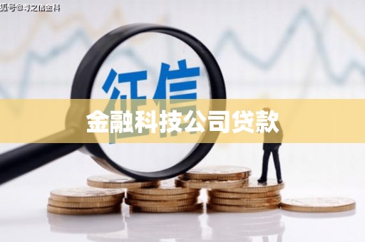 班玛金融科技公司贷款