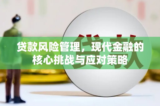 班玛贷款风险管理，现代金融的核心挑战与应对策略