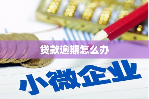 班玛贷款逾期怎么办