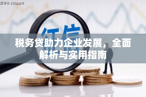 班玛税务贷助力企业发展，全面解析与实用指南