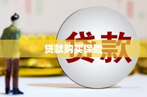 班玛贷款购买保险