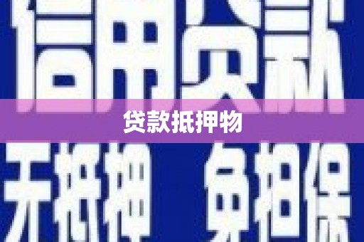 班玛贷款抵押物