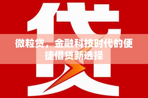 班玛微粒贷，金融科技时代的便捷借贷新选择