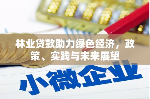 班玛林业贷款助力绿色经济，政策、实践与未来展望